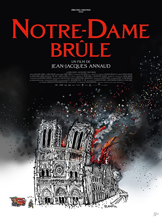 Notre Dame on Fire Review